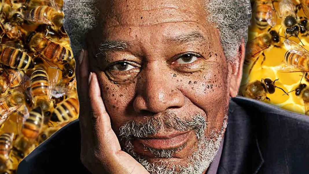 morgan-freeman-turns-his-124-acre-ranch-into-a-honey-bees-anctuary